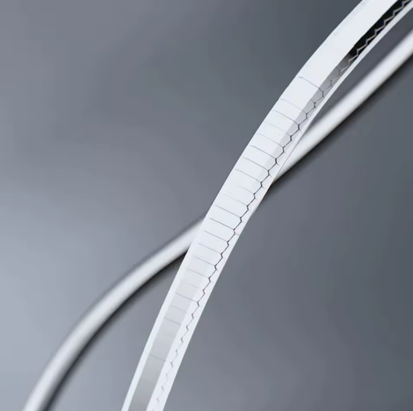 Snake Silver Necklace